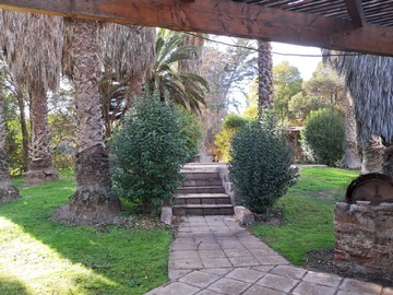 Imagen 26