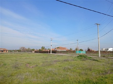 Imagen 11