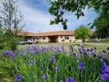 Venta / Parcela / Talagante