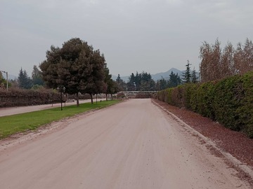 Imagen 7