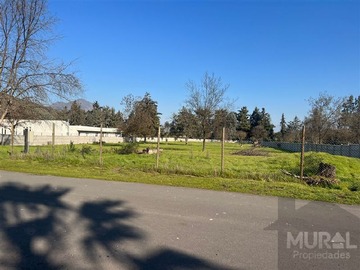 Venta / Parcela / Talagante