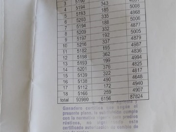 Imagen 6
