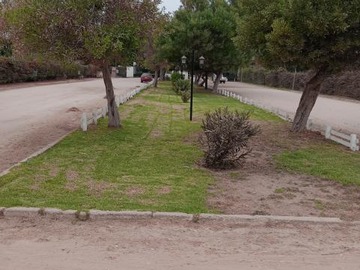 Imagen 13