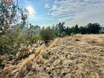 Imagen 20