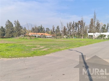 Imagen 13