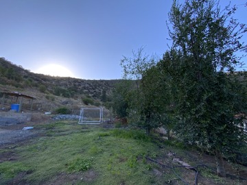 Imagen 14