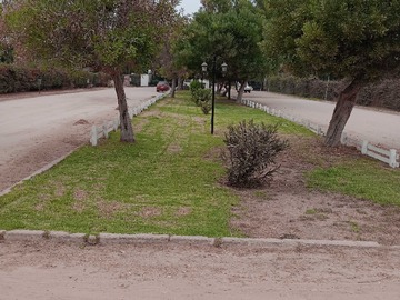 Imagen 13