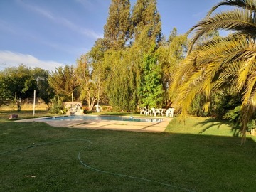 Imagen 16