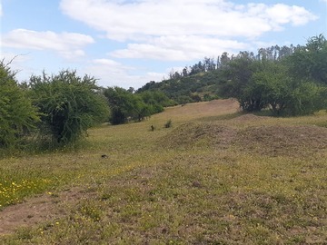 Venta / Parcela / Talca