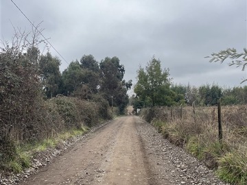 Imagen 9