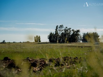 Imagen 8