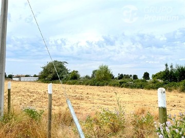 Imagen 6
