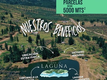 Venta / Parcela / Talca