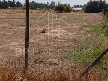 Imagen 7