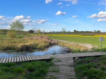 Venta / Parcela / Talca