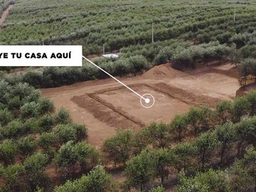 Imagen 6