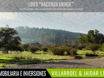 Imagen 6