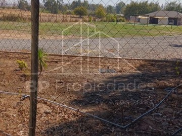 Imagen 6