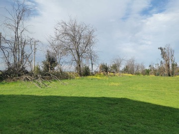 Venta / Parcela / Talca