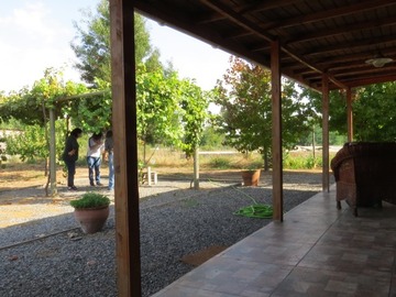 Imagen 5