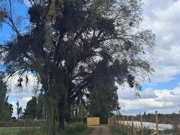 Venta / Parcela / Talca
