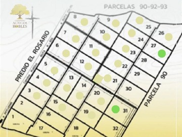 Imagen 23