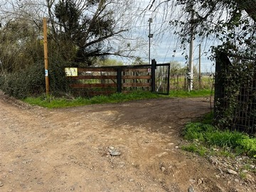 Imagen 19