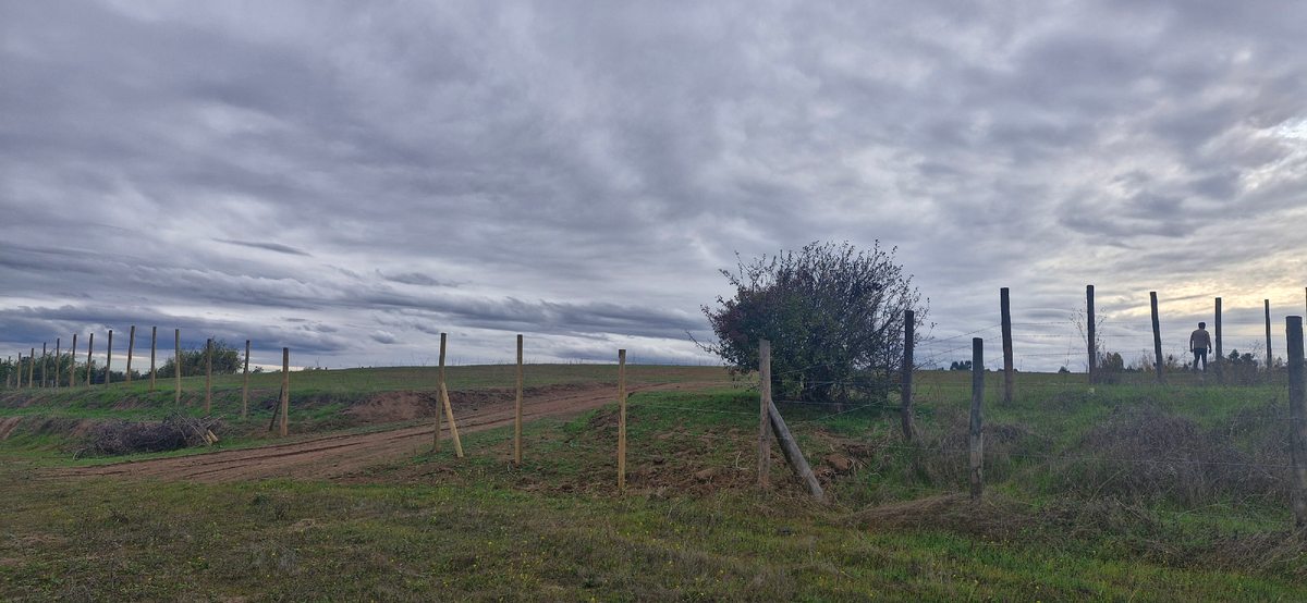Acceso parcela