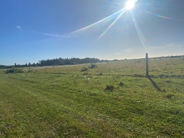 Venta / Parcela / Temuco