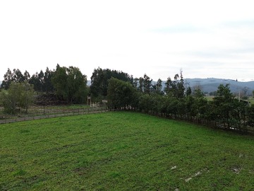 Imagen 13