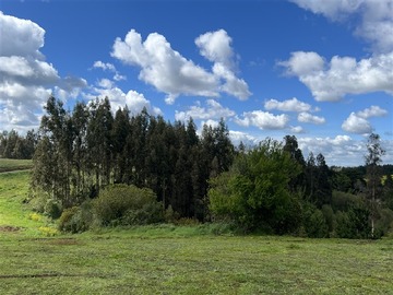 Imagen 9
