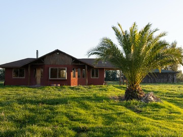 Venta / Parcela / Teno