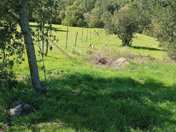 Venta / Parcela / Teno