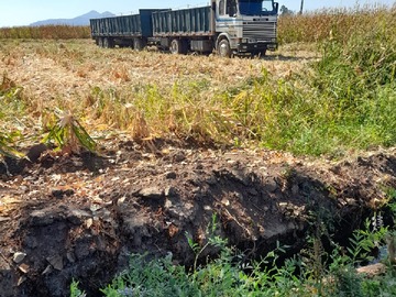 Imagen 9