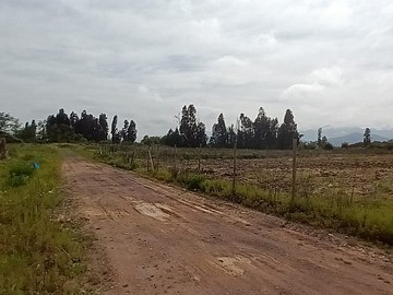 Imagen 4