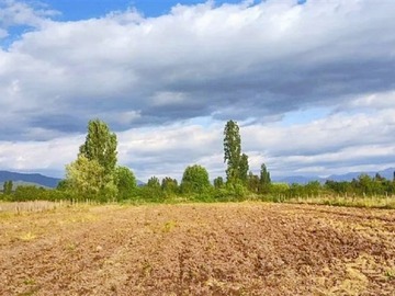 Venta / Parcela / Teno