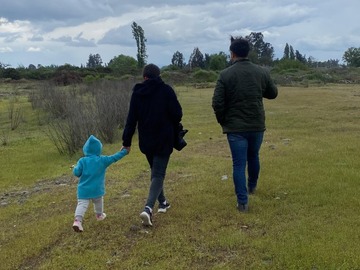 Venta / Parcela / Teno