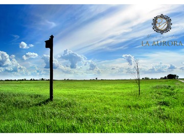 Venta / Parcela / Teno