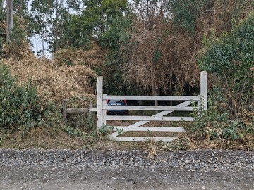 Imagen 9