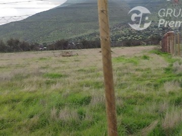 Imagen 8
