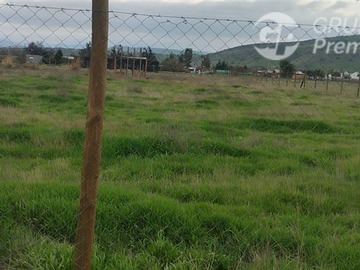 Imagen 9