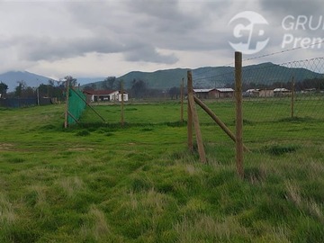 Imagen 11