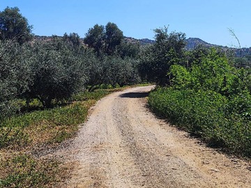 Venta / Parcela / Til til