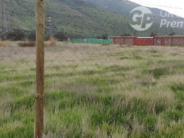 Imagen 7