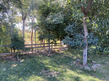 Imagen 17