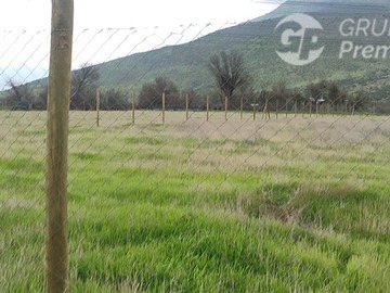 Imagen 6