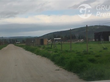 Imagen 26