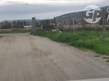Imagen 31
