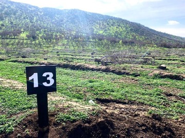 Imagen 14