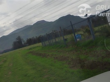 Imagen 5